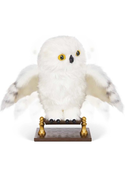 Büyüleyici Hedwig Seni Bekliyor! Harry Potter Hayranları Için Özel fiyatları