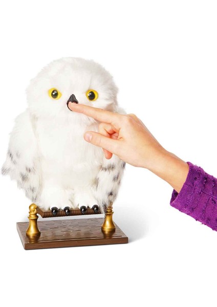 Büyüleyici Hedwig Seni Bekliyor! Harry Potter Hayranları Için Özel modelleri