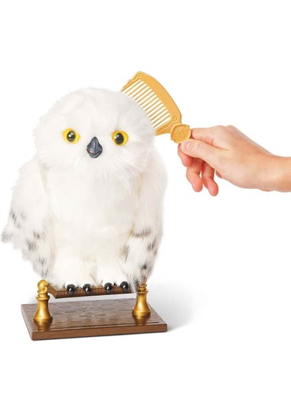 Büyüleyici Hedwig Seni Bekliyor! Harry Potter Hayranları Için Özel fırsatları