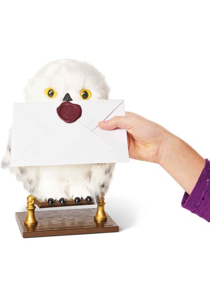Büyüleyici Hedwig Seni Bekliyor! Harry Potter Hayranları Için Özel indirimleri