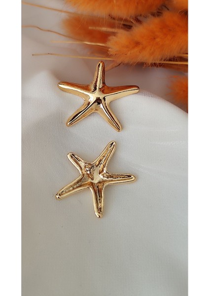 Yıldız Küçük Metal Gold Küpe fiyatları