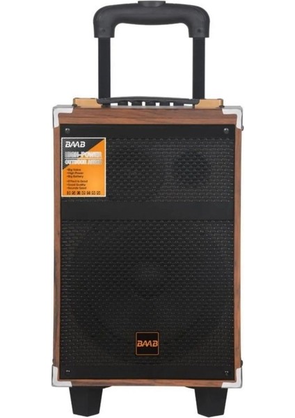 Baab Q12 Profosyonel Ahşap Kasa Taşınabilir Büyükboy 40X33X60 Kumanda Mikrofon,bluetoothlu,hoparlör