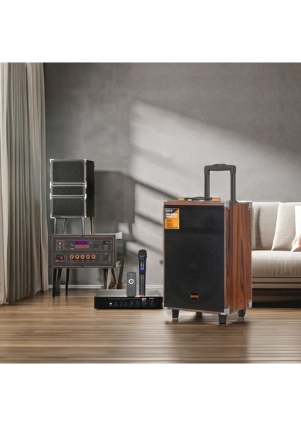 Baab Q12 Profosyonel Ahşap Kasa Taşınabilir Büyükboy 40X33X60 Kumanda Mikrofon,bluetoothlu,hoparlör