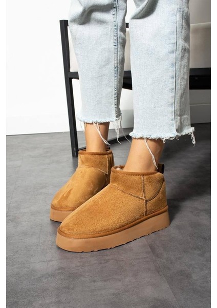 Taba Ugg Bot