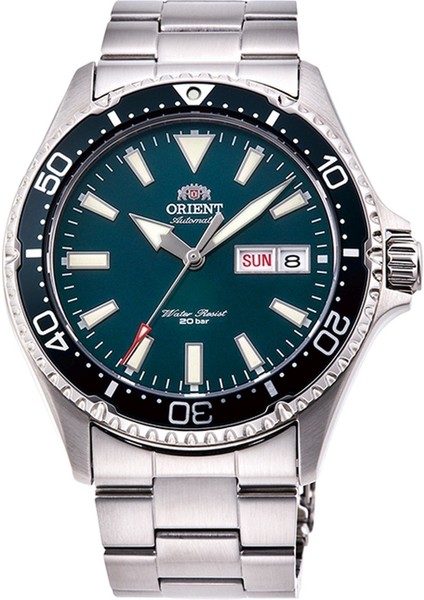 RA-AA0004E39B Otomatik Çelik Gri Yeşil Kadran 42 mm Erkek Kol Saati