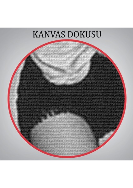 - Kadın Hakları Feminist Vintage Kadın Kanvas TABLO-5235
