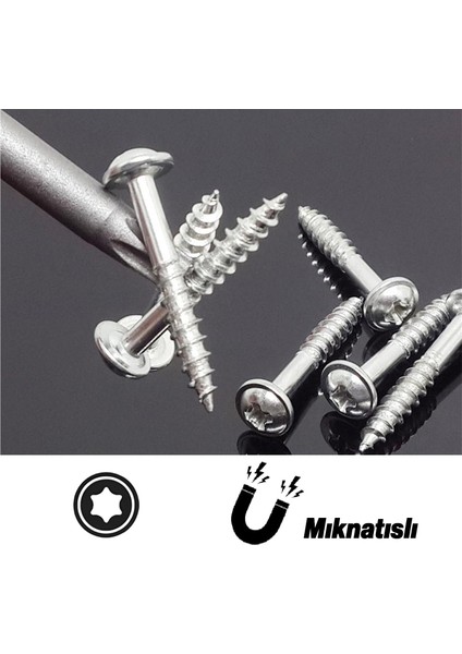 Mıknatıslı Torx T30 Bits Uç 150 mm 10'lu Set Kutulu Manyetik 1/4" Matkap Ucu Tork 15 cm Uzunluk
