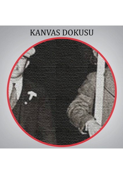 - Bira Istiyoruz, Olağandışı 1931 Yasak Protesto Fotoğrafı Kanvas TABLO-5336 indirimleri