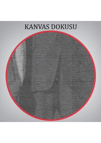 - 1918 Ispanyol Gribi Krizi, Maskeli Kedi, Kanvas TABLO-5328