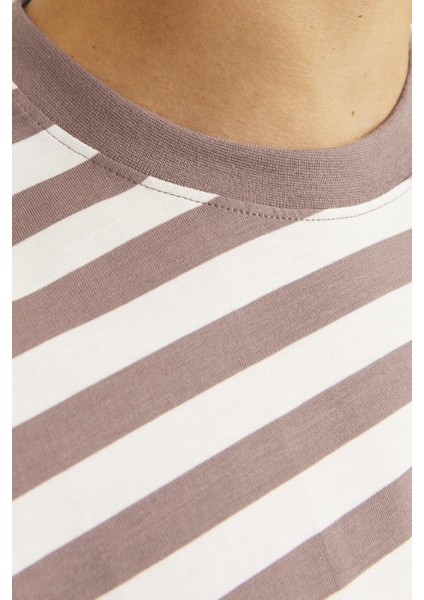 Jorvesterbro Newton Strıpe Tee Ss Cn Bordo-Beyaz modelleri