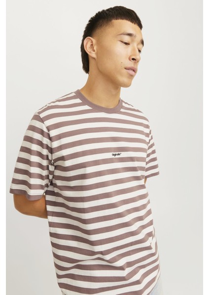 Jorvesterbro Newton Strıpe Tee Ss Cn Bordo-Beyaz indirimleri