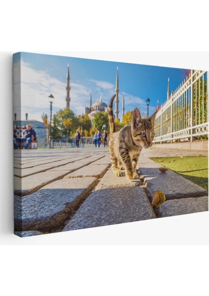 - Sultan Ahmet Camii Önündeki Yavru Kedi TABLOSU-6507 fiyatları