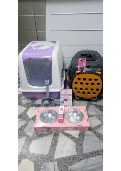 Yavru Kedi Başlangıç