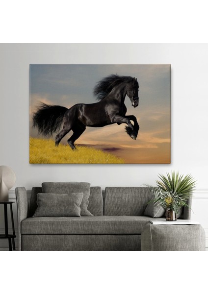 - Şaha Kalkmış Siyah At TABLOSU-6613