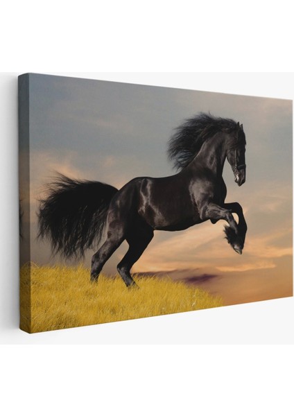 - Şaha Kalkmış Siyah At TABLOSU-6613 fiyatları