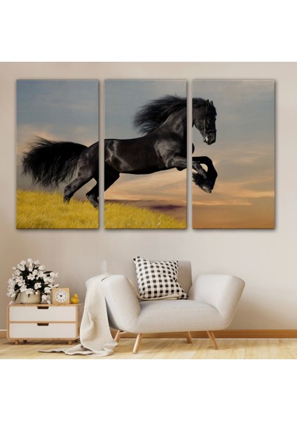 - Şaha Kalkmış Siyah At TABLOSU-6613 modelleri