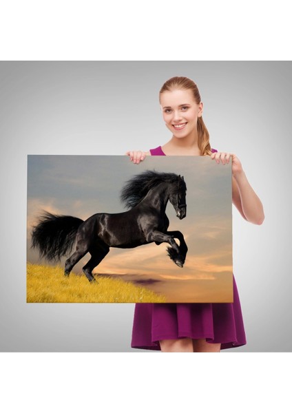 - Şaha Kalkmış Siyah At TABLOSU-6613 fırsatları