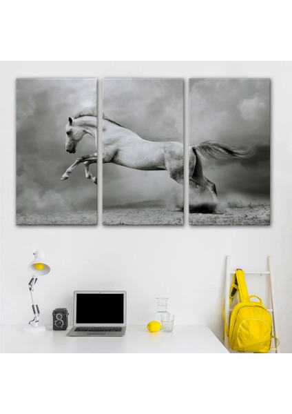 - Çöldeki Beyaz At TABLOSU-6598 modelleri