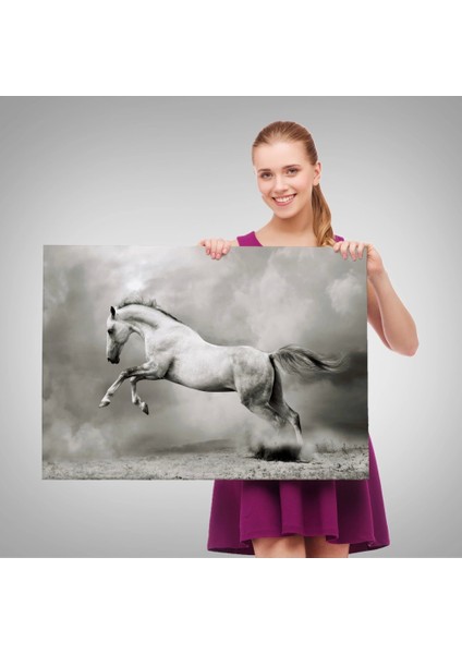 - Çöldeki Beyaz At TABLOSU-6598 fırsatları