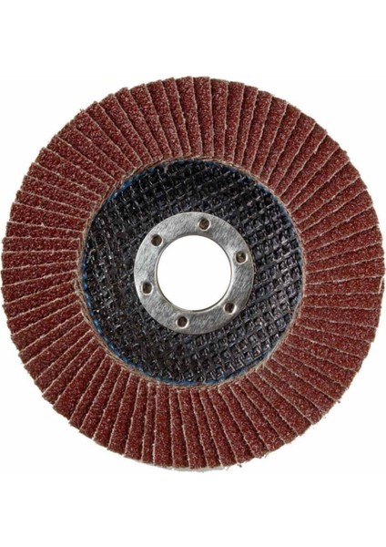 Spiral Taşlama Cırt Zımpara Metal Disk Fırça Seti 25 Parça