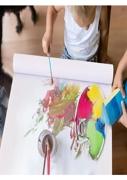 Dev Resim Kağıdı Rulo Genişlik 45 cm Uzunluk 50 Metre