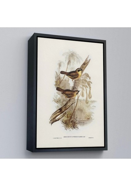 - Çerçeveli Dal Üzerindeki Kuşlar TABLOSU-8022