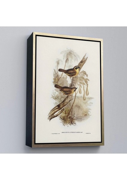 - Çerçeveli Dal Üzerindeki Kuşlar TABLOSU-8022 modelleri