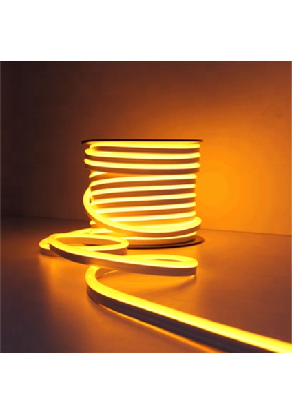 LED Neon 220V 5 mt (Giriş Adaptörü Dahil)