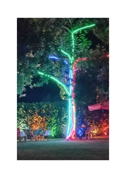 LED Neon 220V 5 mt (Giriş Adaptörü Dahil)
