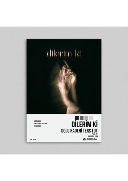 Dolu Kadehi Ters Tut - Dilerim Ki Spotify Çerçevesiz Tasarım Poster