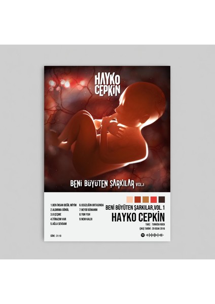 Hayko Cepkin - Beni Büyüten Şarkılar , Vol 1 Albüm Spotify Çerçevesiz Tasarım Poster