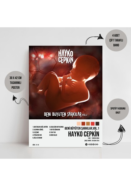 Hayko Cepkin - Beni Büyüten Şarkılar , Vol 1 Albüm Spotify Çerçevesiz Tasarım Poster