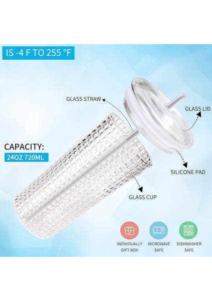 Kapaklı ve Cam Pipetli 750ML Cam Bardak – Borosilikat Cam, Yeniden Kullanılabilir, Smoothie, Buzlu Kahve, Çay ve Soda Için Şık Cam Bardak