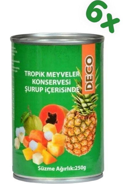 Tropik Meyveler Konservesi Şurup Içerisinde 425 Gr. 6 Adet