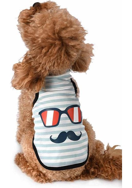Küçük ve Orta Irk Köpek T-Shirt Shaka Mavi
