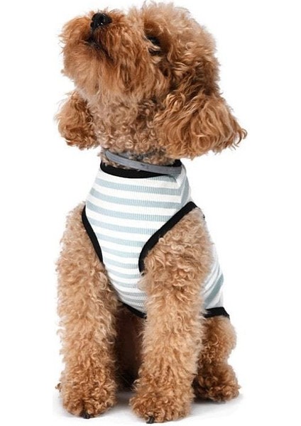 Küçük ve Orta Irk Köpek T-Shirt Shaka Mavi