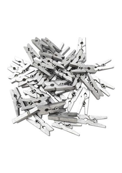 100'LÜ Gümüş Ahşap Mandal 2.5 cm (10'lu PAKET-1000 Adet)