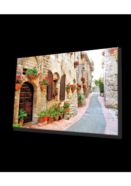 - Çiçekli Sokak Cam Tablo Flower Streets