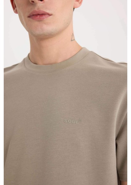 Regular Fit Bisiklet Yaka Ütü Gerektirmeyen Nefes Alabilen Baskılı Kısa Kollu Ağır Kumaş Tişört D5514AX25SP indirimleri