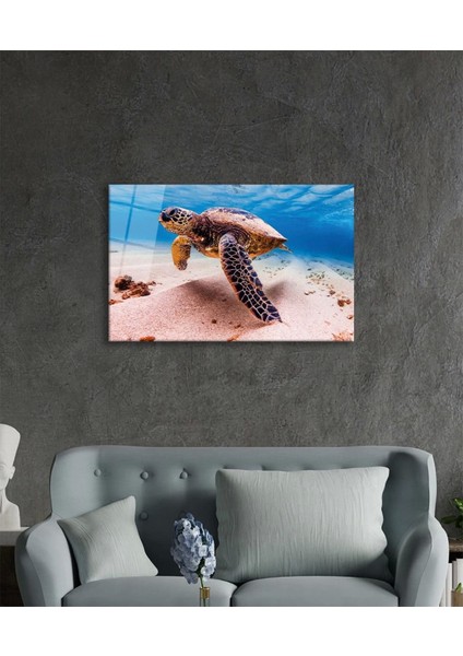 - Deniz Kaplumbağası Hayvan Portresi Cam Tablo modelleri