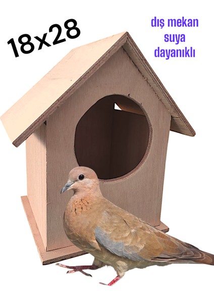 Ahşap Kumru Güvercin Kuş Yuvası Kuş Evi Folluk 18x28 cm