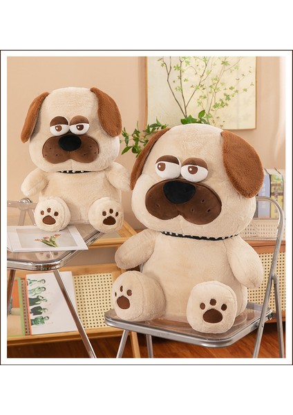 35CM Büyük Gözli Shar Pei Köpek Yurdu (Yurt Dışından)