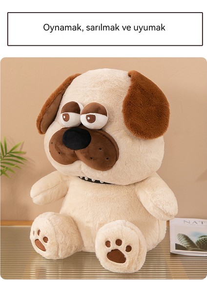 35CM Büyük Gözli Shar Pei Köpek Yurdu (Yurt Dışından)