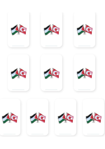 10'lu Türkiye ve Filistin Bayarkları Simgesi Altın Renkli Özel Tasarımlı Unisex Yaka Rozeti A300030-10