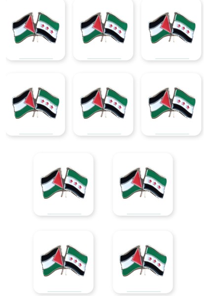 10'lu Suriye ve Filistin Bayarkları Simgesi Altın Renkli Özel Tasarımlı Unisex Yaka Rozeti A300031-10