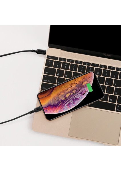 Essential USB-C to Lightning (1 Metre) Hızlı Şarj/Data Kablosu MFI Lisanslı (2 Adet) C10CL Black - 000CA27022