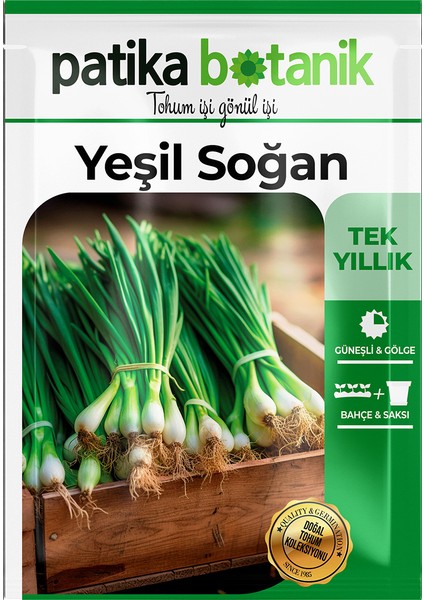 500 Adet Yeşil Soğan Tohumu fiyatları