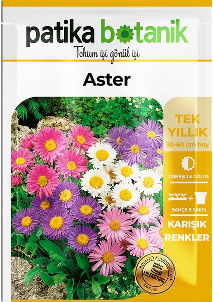 50 Adet Aster Çiçeği Tohumu