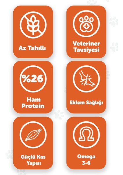 Mini Majesty 10 Kg | Küçük Irk | Kuzu Etli | Yetişkin Köpek Maması fiyatları