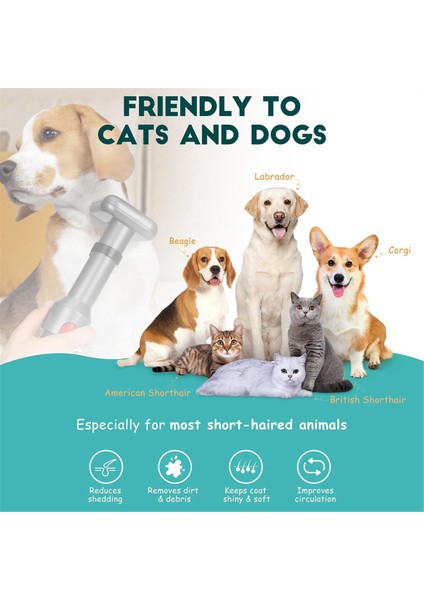 Evcil Köpek Bakım Aleti + Toz Alma Fırçası V8 V10 V11 V15 Elektrikli Süpürge Için Esnek Uzatma Hortumu (Yurt Dışından) fiyatları